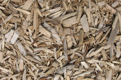 biomass boilers Caldercruix